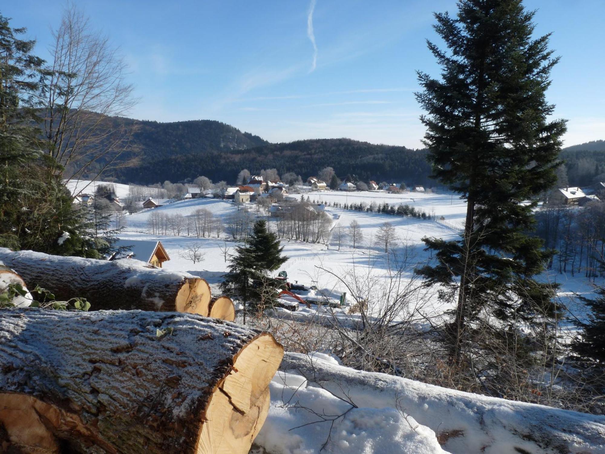 Locations Dupertuis Alsace Lägenhet Le Hohwald Exteriör bild