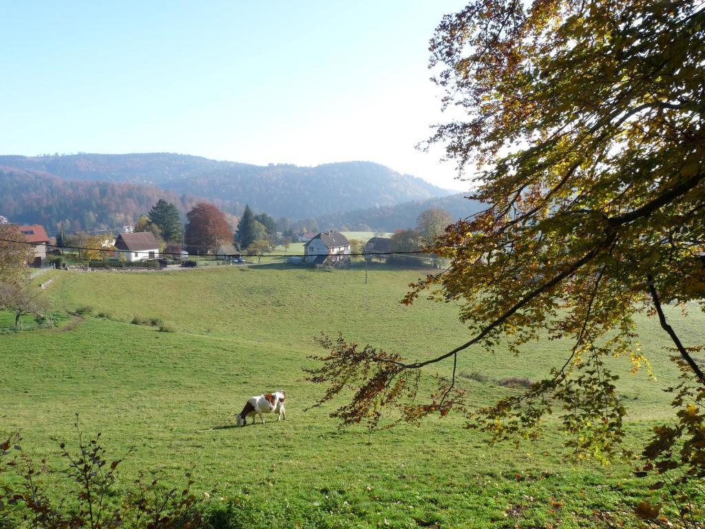 Locations Dupertuis Alsace Lägenhet Le Hohwald Rum bild