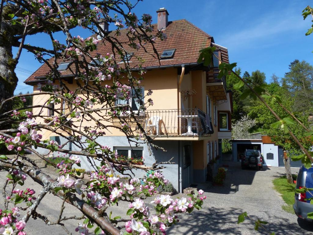 Locations Dupertuis Alsace Lägenhet Le Hohwald Exteriör bild