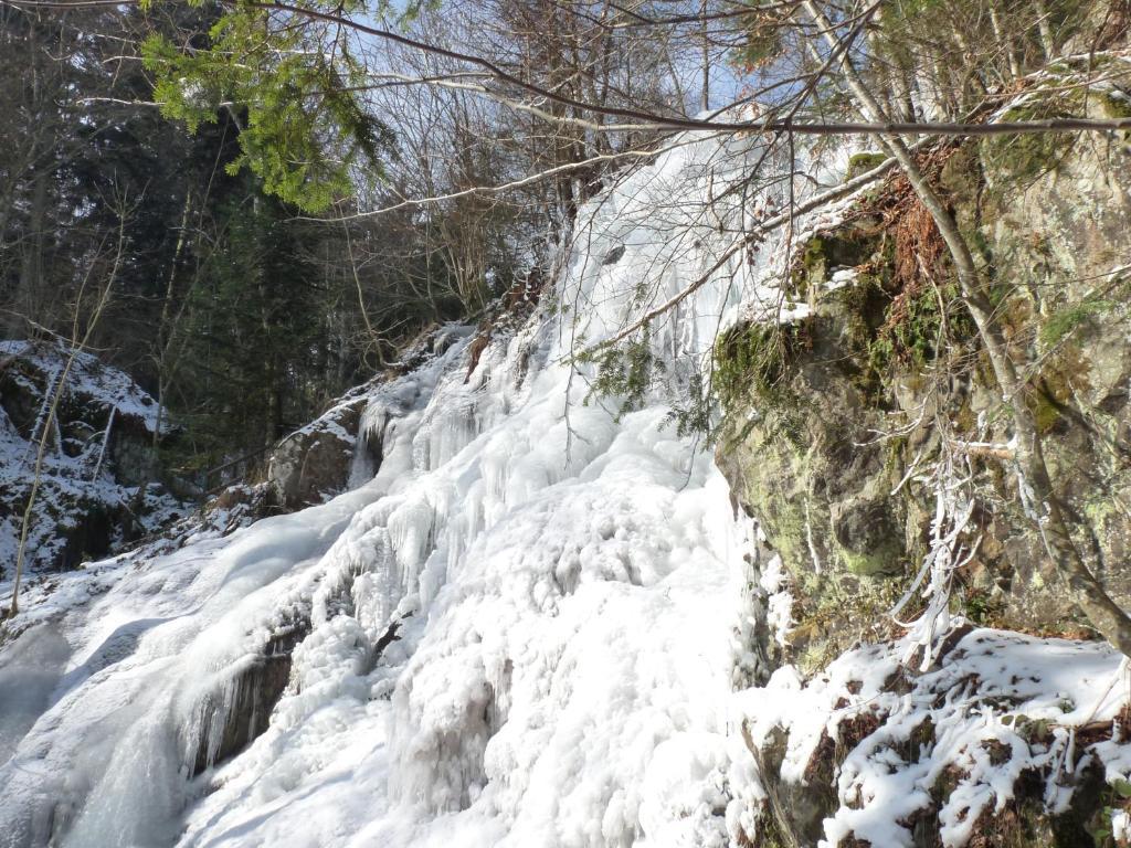 Locations Dupertuis Alsace Lägenhet Le Hohwald Exteriör bild