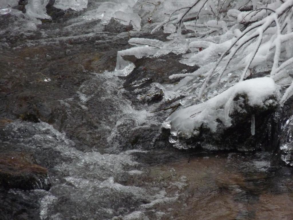 Locations Dupertuis Alsace Lägenhet Le Hohwald Exteriör bild